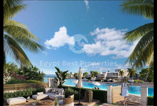 8019332 - Property Image 3