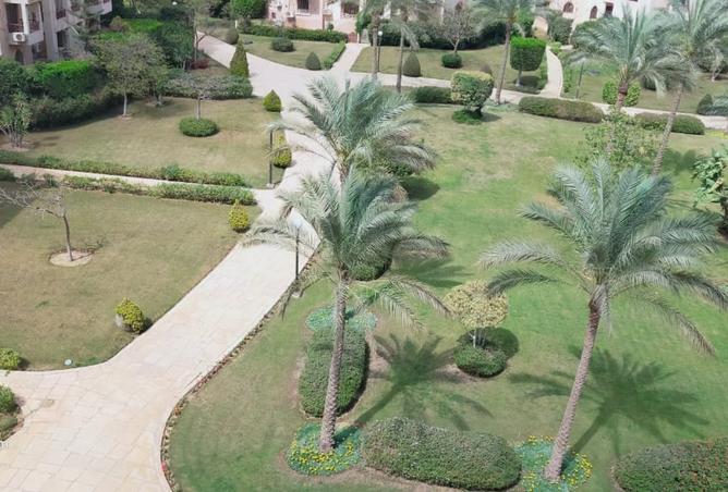 8091377 - Property Image 2