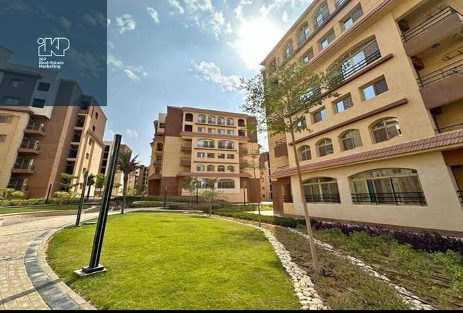 7903912 - صورة العقار 2