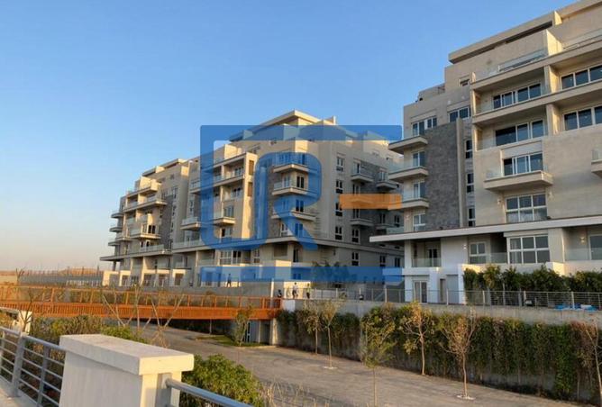 7949232 - صورة العقار 3