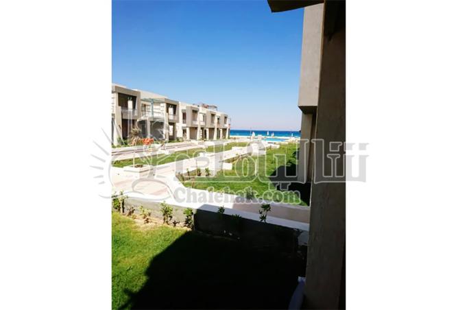 8280831 - صورة العقار 3