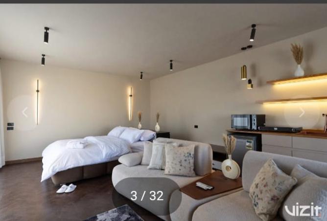 7725843 - Property Image 3