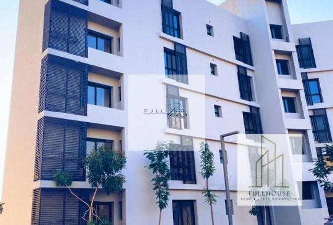 8385898 - Property Image 2