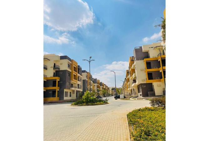 8011336 - Property Image 2