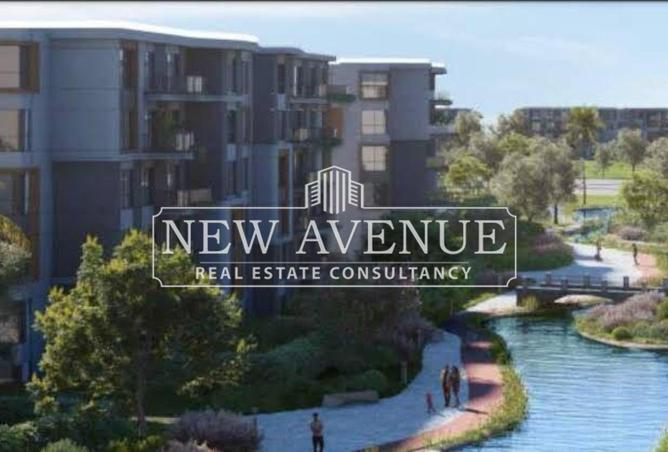8090462 - Property Image 3