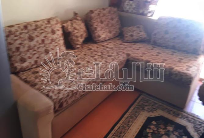 8133812 - صورة العقار 3