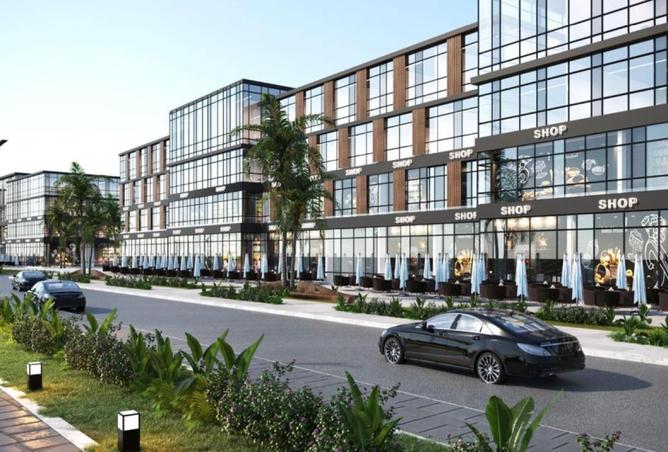 8023935 - Property Image 3