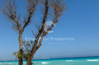 شاليه - 2 غرف نوم - 2 حمامات للبيع في بيت البحر - سيدي حنيش - الساحل الشمالي