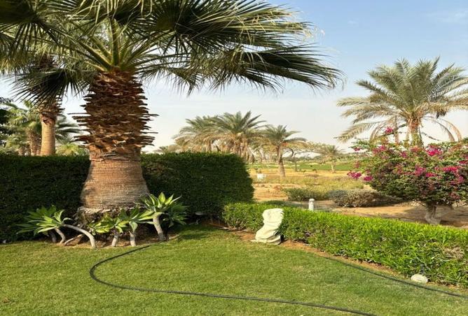 8458639 - صورة العقار 2