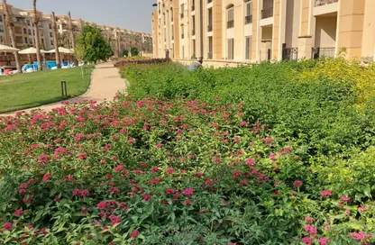 شقة - 4 غرف نوم - 3 حمامات للبيع في ستون ريزيدنس - كمبوندات التجمع الخامس - التجمع الخامس - مدينة القاهرة الجديدة - القاهرة