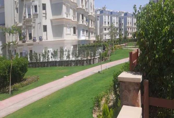 8437032 - Property Image 3