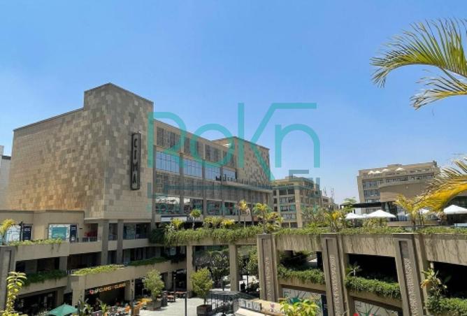 8240439 - Property Image 3