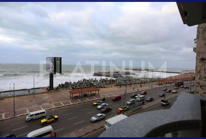 7904661 - Property Image 3