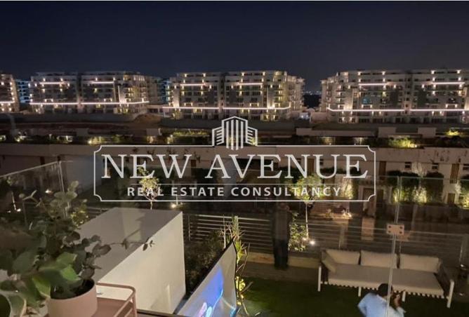 7935374 - Property Image 3