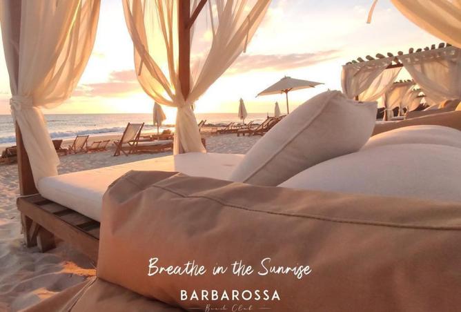 8171441 - Property Image 2