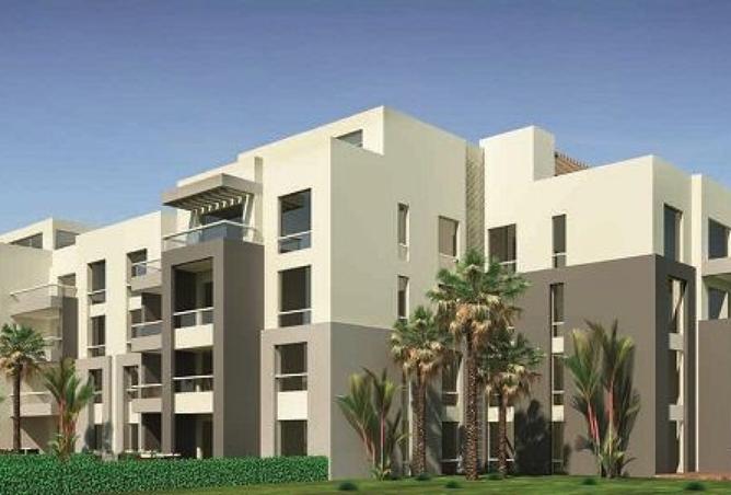 8295419 - Property Image 3