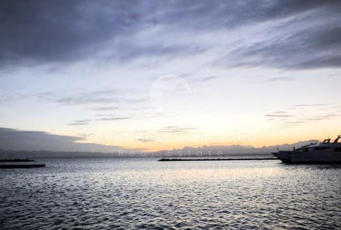 8441555 - صورة العقار 3