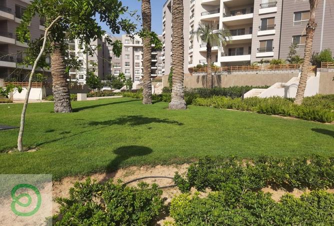 8178544 - صورة العقار 2