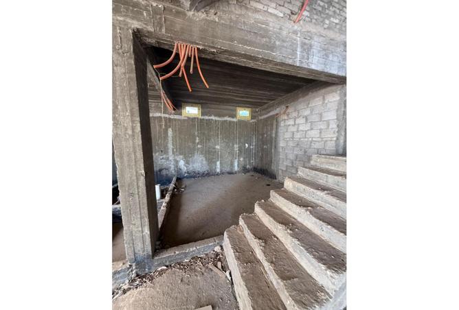 8007333 - Property Image 3
