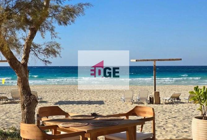 8378903 - Property Image 2