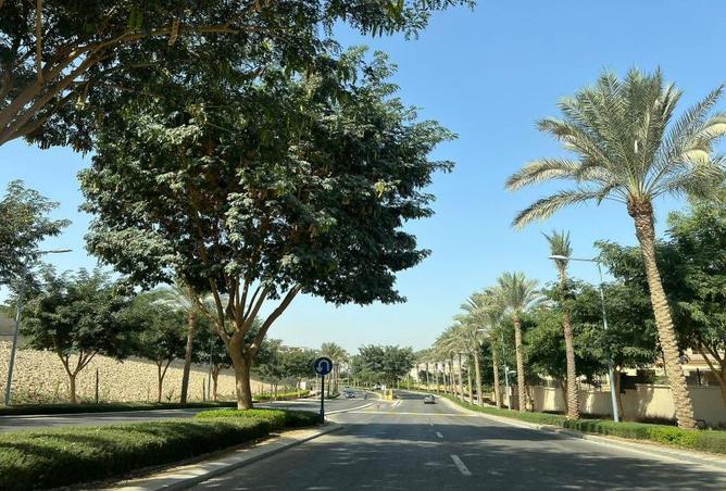 7979997 - صورة العقار 3