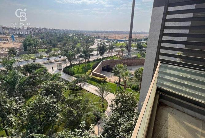 8241801 - Property Image 3