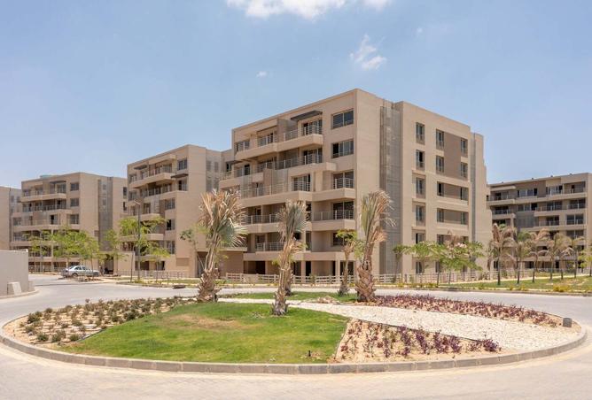 7993483 - صورة العقار 3
