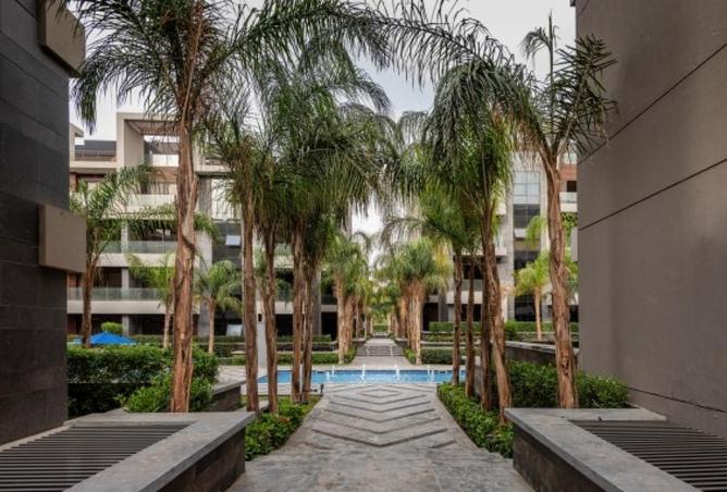 8170010 - صورة العقار 3