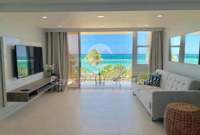 8084648 - Property Image 3