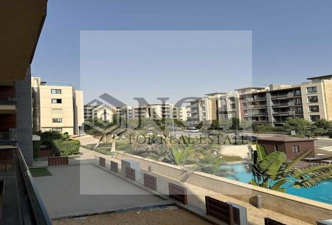 7935165 - Property Image 3