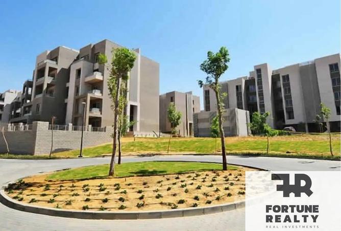 8407731 - Property Image 2