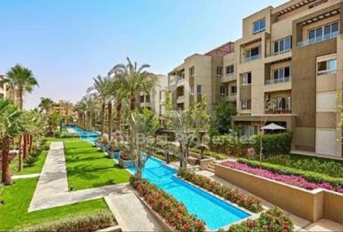 8194497 - Property Image 3