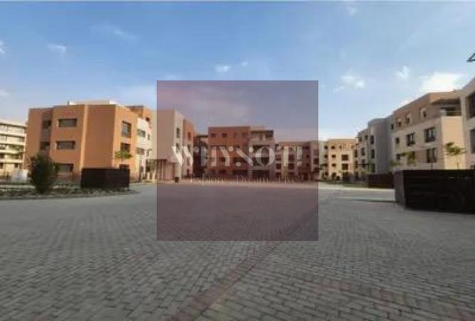 7889960 - Property Image 3