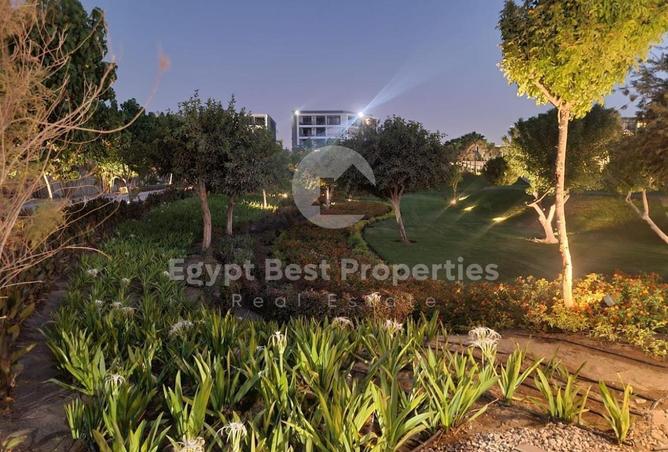 8070250 - Property Image 3