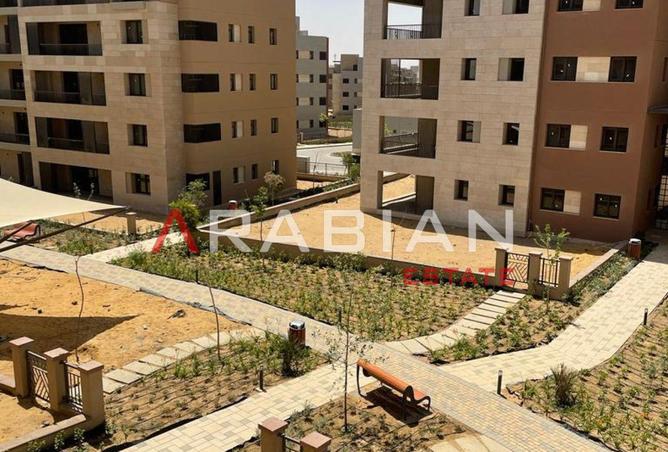 8451686 - Property Image 2