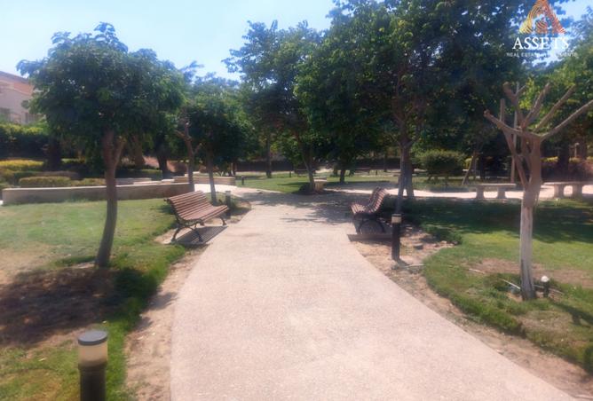 8131419 - صورة العقار 3
