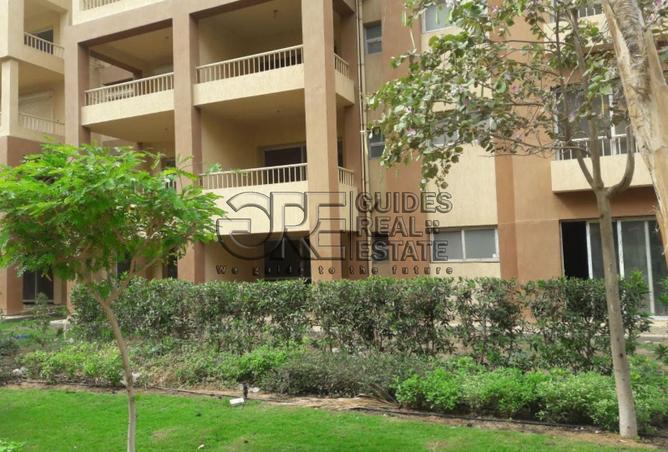 8389646 - صورة العقار 3