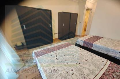 Apartment - 2 Bedrooms - 1 Bathroom for rent in Madkhal Sharkt Al Nakhl Wa Al Handasa St. - Smouha - Hay Sharq - Alexandria