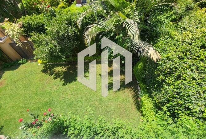7951448 - صورة العقار 2