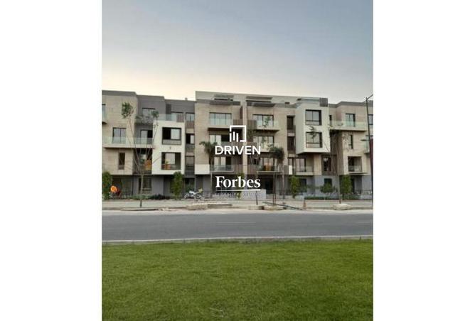 8381705 - Property Image 3