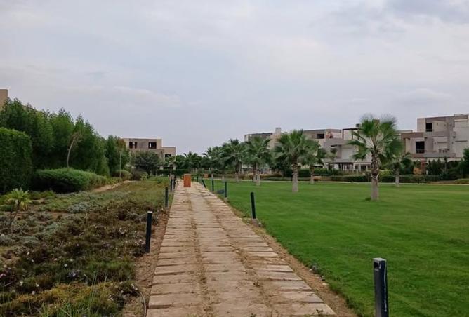 8090286 - صورة العقار 3
