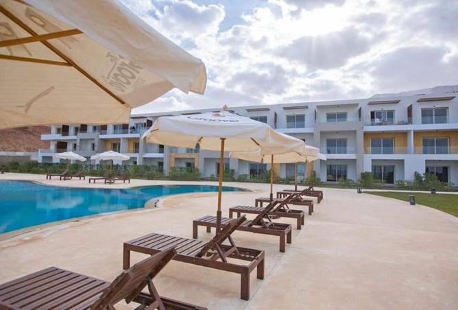 8527541 - Property Image 3