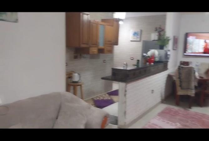 8137382 - Property Image 3