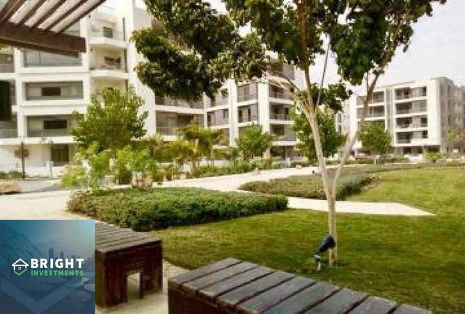 8225957 - Property Image 3