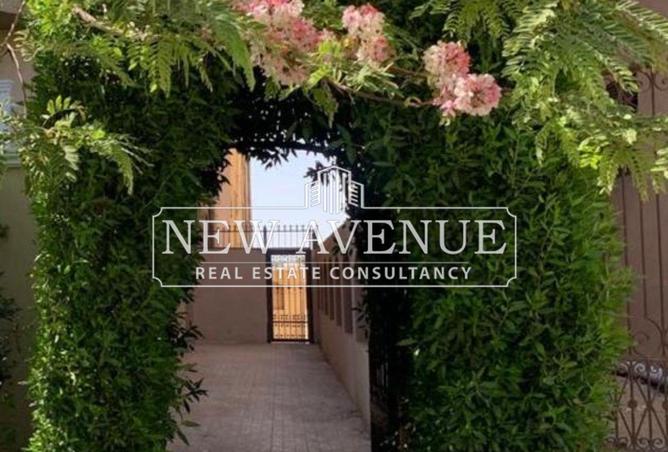 8244887 - Property Image 3