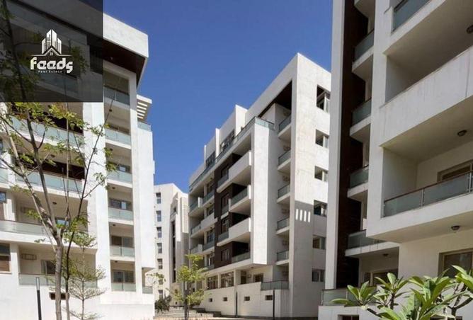 8222390 - Property Image 3