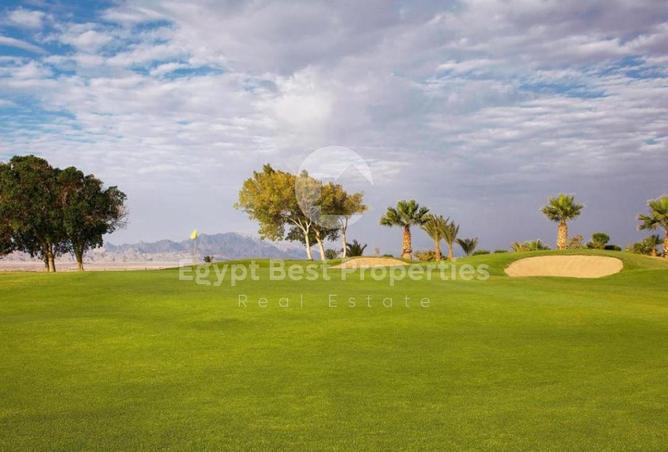 7968128 - صورة العقار 2