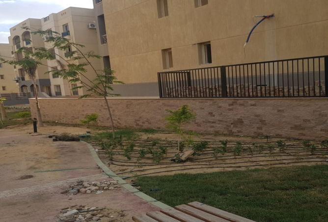 8258020 - Property Image 3