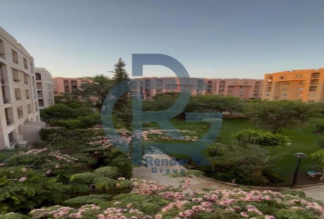 8494537 - صورة العقار 3