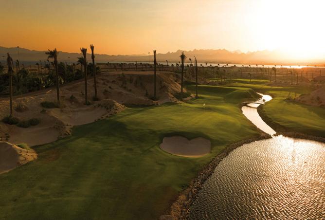 8262316 - Property Image 3